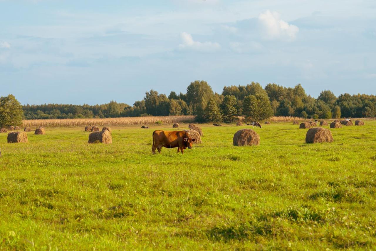 Apartment Arche Siedlisko Gorodczyno Narew